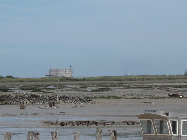 M3D_Oleron-20120510_109