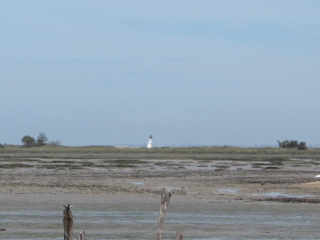 M3D_Oleron-20120510_110