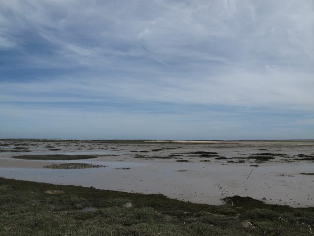 M3D_Oleron-20120510_124