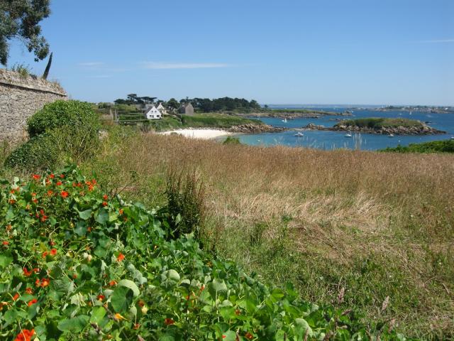 Roscoff-2010-07-07_14-21-34