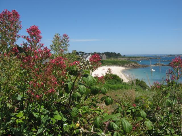 Roscoff-2010-07-07_14-22-47