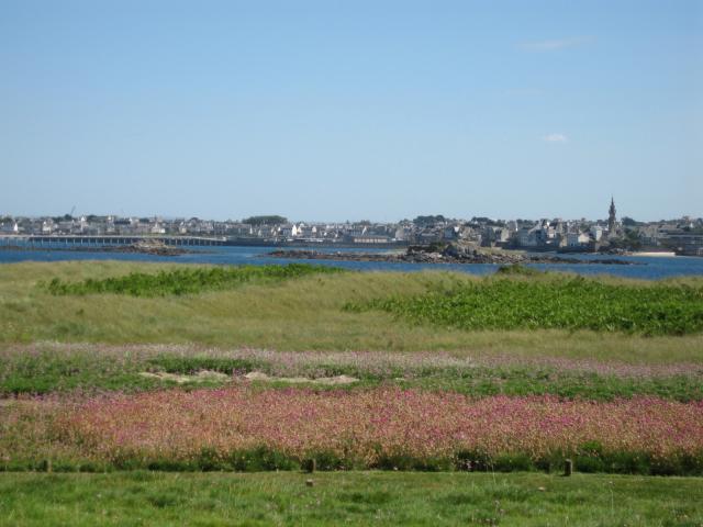 Roscoff-2010-07-07_15-41-36