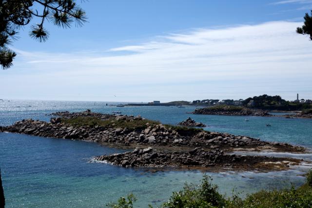 Roscoff-2010-07-07_16-42-32