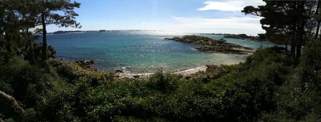 Roscoff-2010-07-07_16-53-21