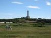 Roscoff-2010-07-07_17-03-23