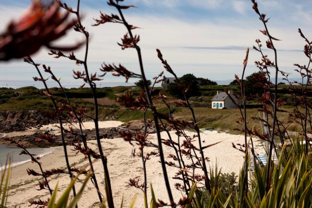 Roscoff-2010-07-07_17-08-07