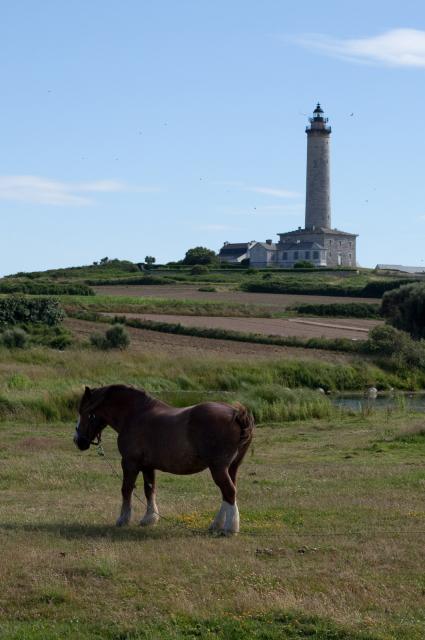 Roscoff-2010-07-07_17-59-41